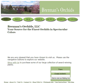 Tablet Screenshot of brennansorchids.com